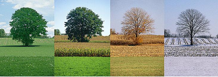 《塞伯利亚之谜：之前的世界》GOG现已开放预购 售价190元